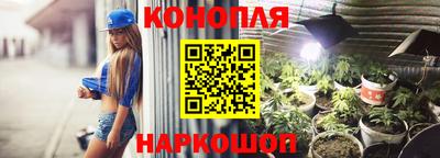 ешки Будённовск